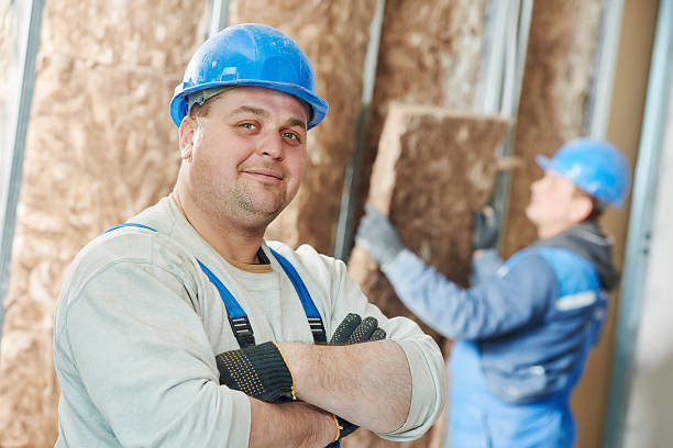 Best Basement Insulation  in Brownstown, PA